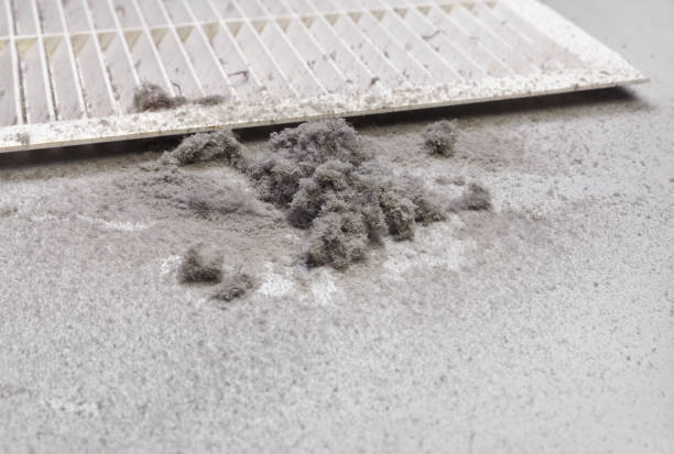 Best Emergency Air Duct Cleaning  in Ionia, MI