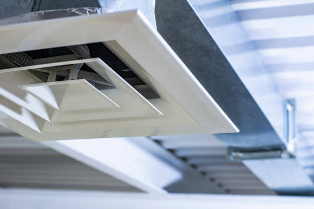 Best HVAC Duct Inspection Services  in Ionia, MI