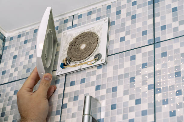 Best Home Air Vent Cleaning  in Ionia, MI