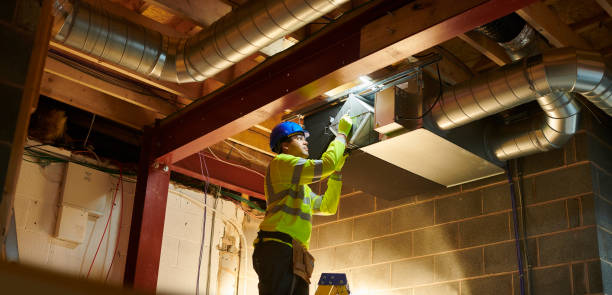 Best Air Duct Mold Removal  in Ionia, MI