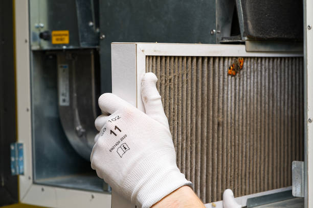 Best Best Air Duct Cleaning Company  in Ionia, MI