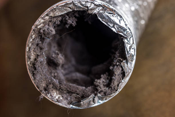 Best HVAC System Cleaning  in Ionia, MI