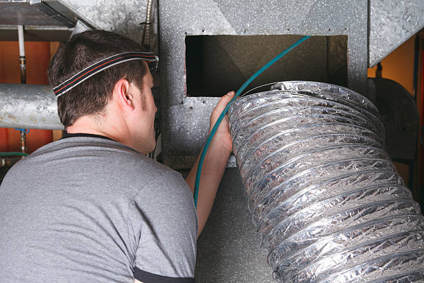 Air Duct Mold Removal in Ionia, MI