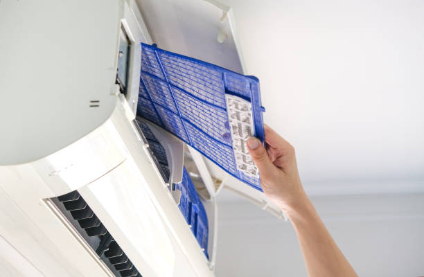 Best Local Air Duct Cleaning Services  in Ionia, MI