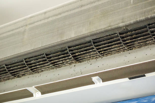 Best Commercial Air Duct Cleaning  in Ionia, MI