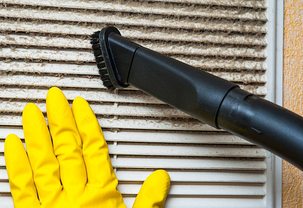 Air Duct Mold Removal in Ionia, MI